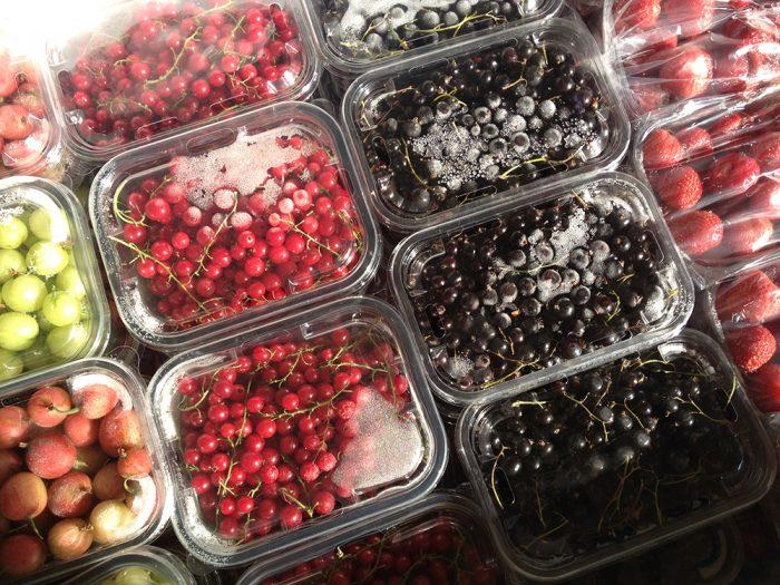 Beeren einfrieren