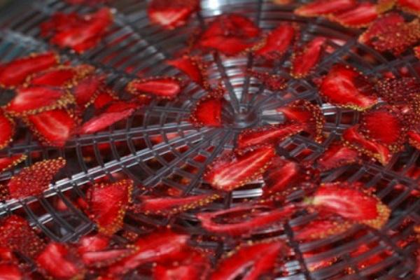 sécheuse électrique fonctionne