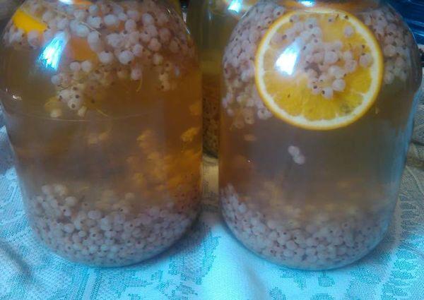 Stachelbeere mit Orange