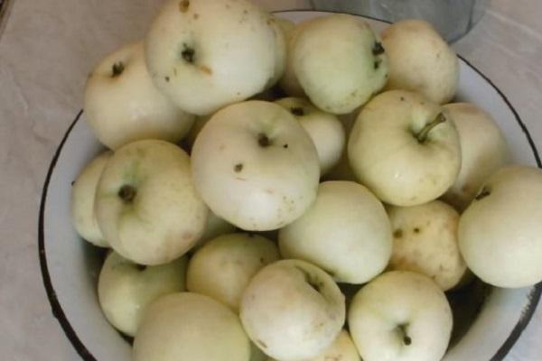 A delicious recipe for making whole apple compote for the winter