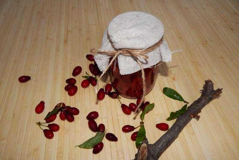 cornouiller pour l'hiver