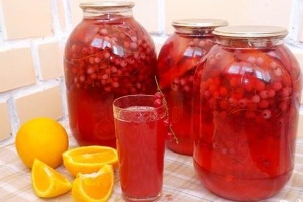 Rote Johannisbeere Kompott mit Orange
