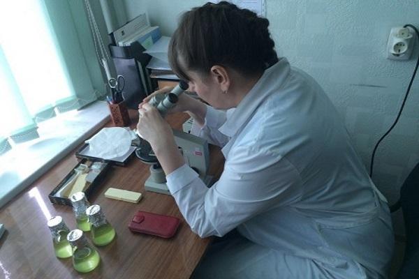 Bestimmung der Toxizität