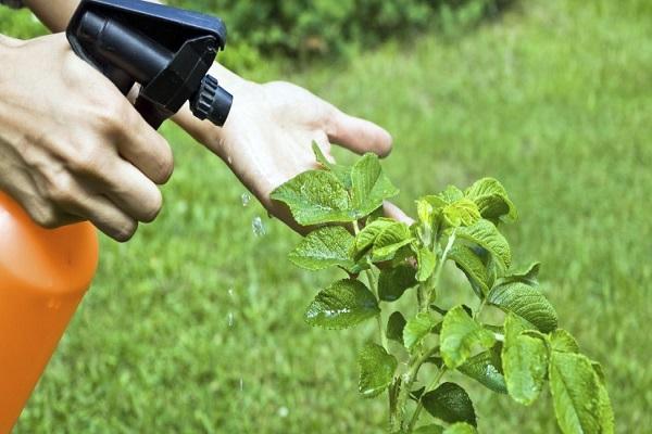 Das Medikament wirkt