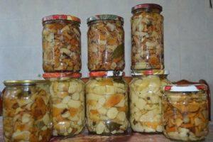 TOP 12 Rezepte für die Herstellung von eingelegten Pilzen für den Winter