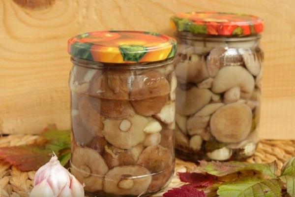 Butter zu Kartoffeln