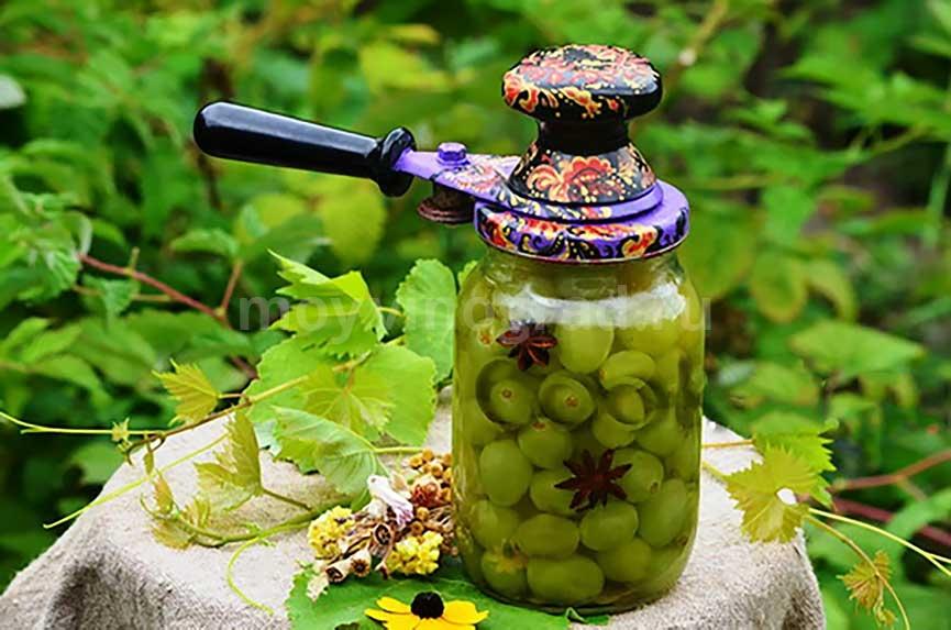 leckeres Rezept für die Herstellung von Trauben