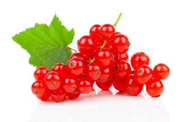Johannisbeeren