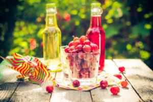 5 meilleures recettes pour extraire du jus de groseille à maquereau dans un presse-agrumes pour l'hiver