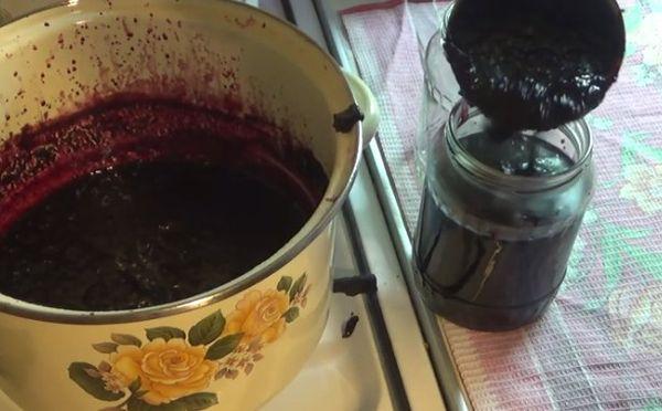 Eberesche für den Winter