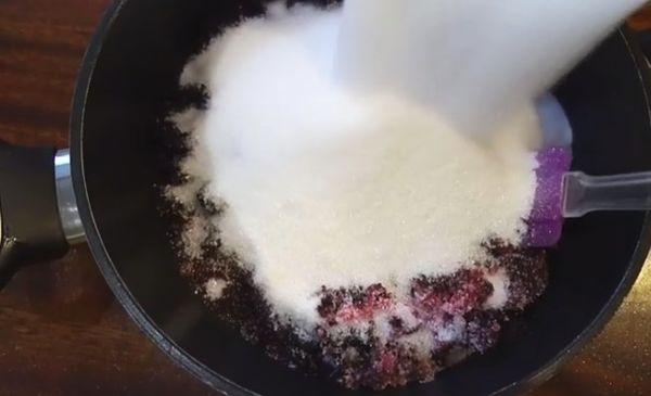  Eberesche mit Zucker