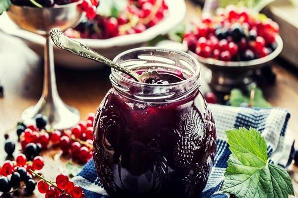  rote und schwarze Johannisbeere