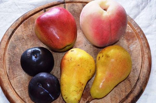 Zubereitung von Beeren