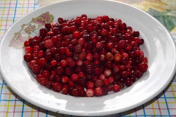 lingonberry berries