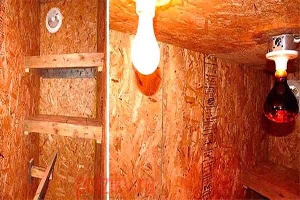 Glühbirnen im Hühnerstall