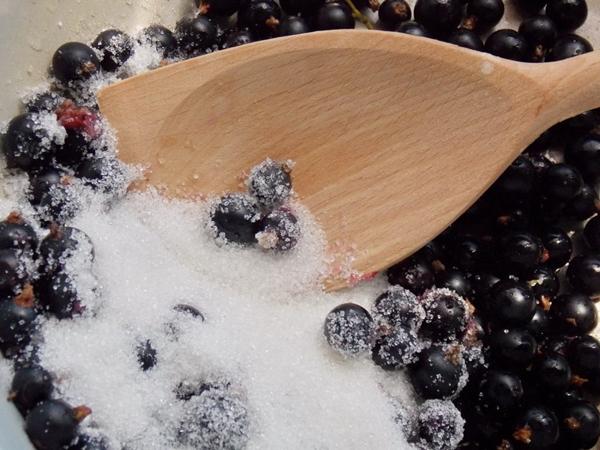 Johannisbeere mit Zucker