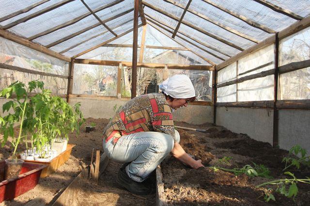 Anwendung in verschiedenen Kulturen