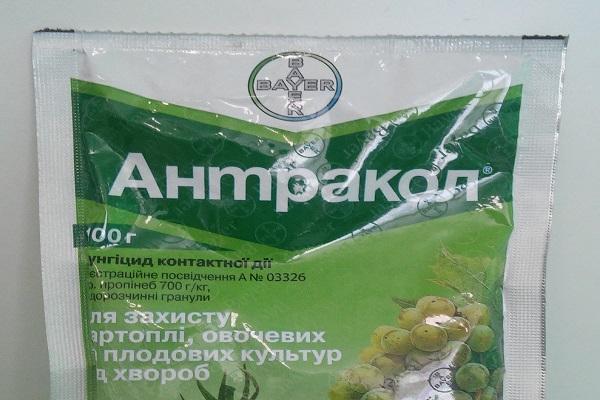 Fungizid Antracol