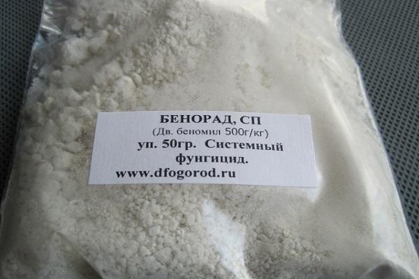 stockage dans un sac