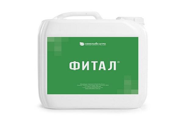 Chemie in einem Kanister