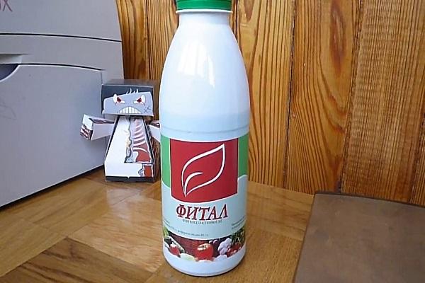 Lagerung in Geschirr