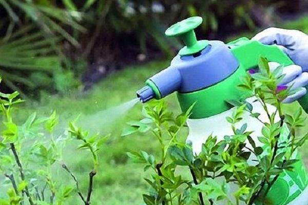 bedeutet sich zu verbreiten