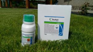 Instructions pour l'utilisation du fongicide Switch, taux de consommation et analogues