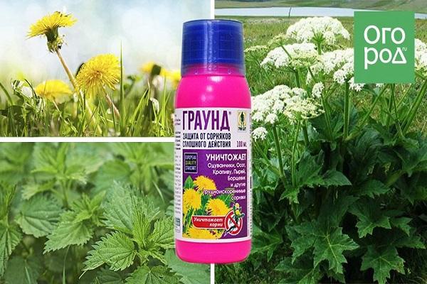 Verpackung studieren