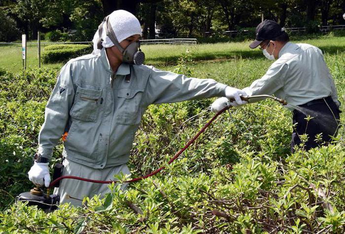amélioration du rendement