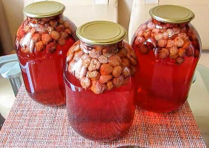 Kompott für den Winter