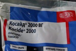 Instructions pour l'utilisation du fongicide Coside et le mécanisme d'action