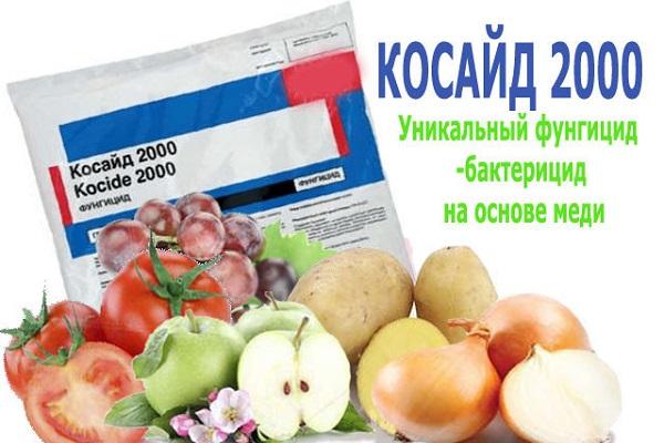 Kosayd pour les légumes