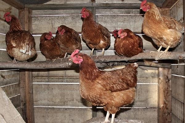 Unterkunft im Winter