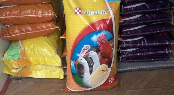 Purina Essen