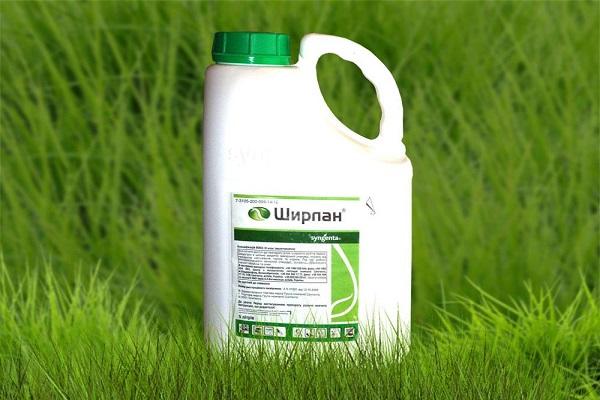 Fungizid Shirlan