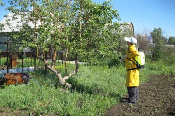 Mädchen bei der Arbeit