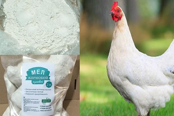 Kreide für Geflügel