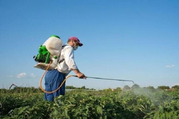 Sicherheit pro Person