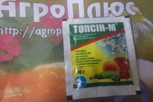 Anweisungen zur Verwendung des Fungizids Topsin M und Wirkmechanismus