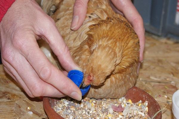 trinke aus dem Deckel