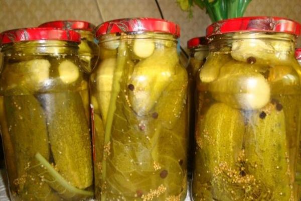 Pickled cucumbers with mustard