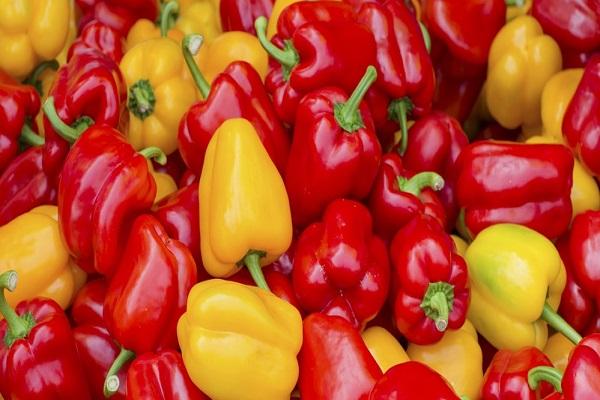 verschiedene Paprika