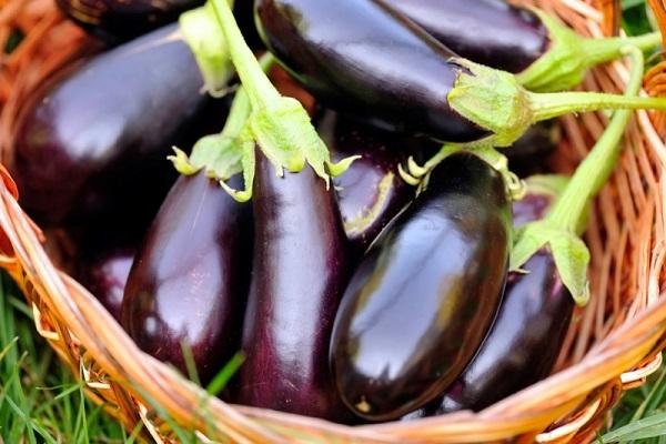 Aubergine in einem Korb