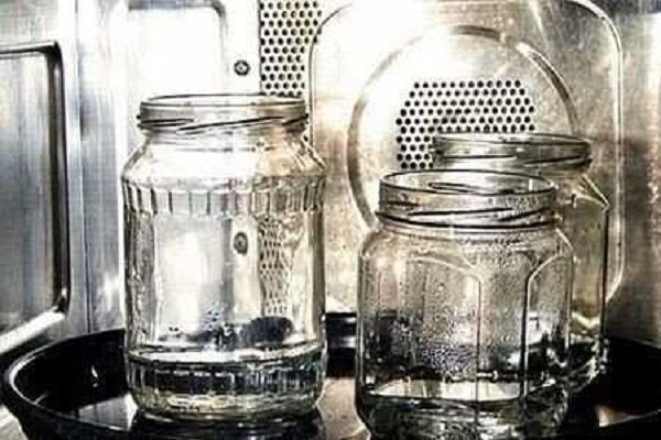 Mikrowellensterilisation