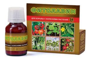 Gebrauchsanweisung des Fungizids Fitolavin, Wirkmechanismus und Verbrauchsraten