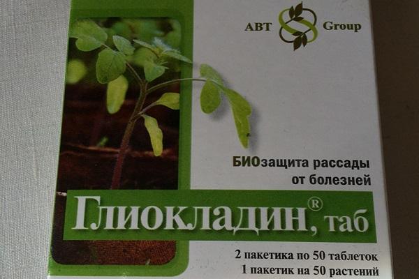 médicament à base de glyoccine