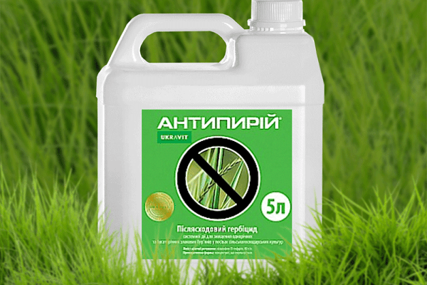 Bouteille Antiperium