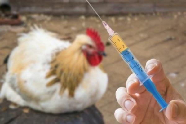 seringue avec médicament