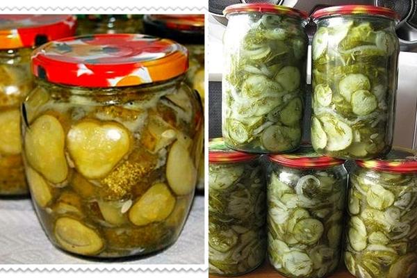 concombres hiver roi