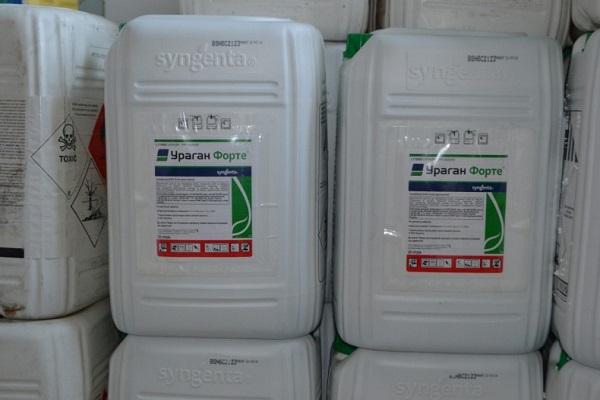 in einem Lagerhaus lagern